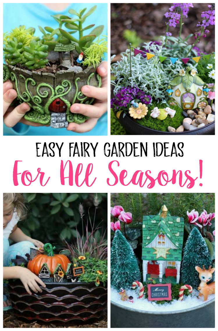 fairy garden plants and flowers