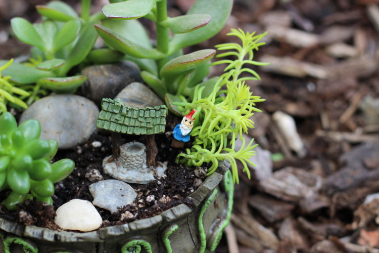 A whimsical fairy garden that will fit in the palm of your hand. This teacup fairy garden adds the perfect amount of magic to any windowsill or shelf!