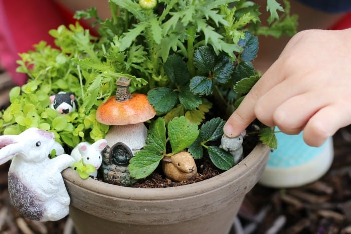 Whimsical Mini Flower Gardens