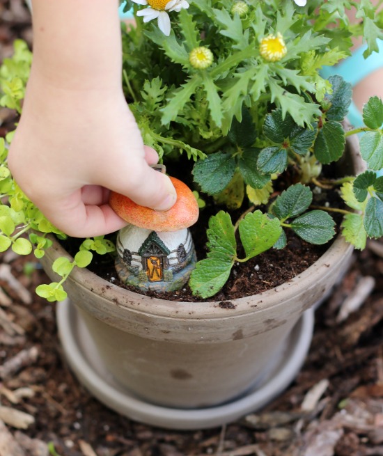 Whimsical Mini Flower Gardens