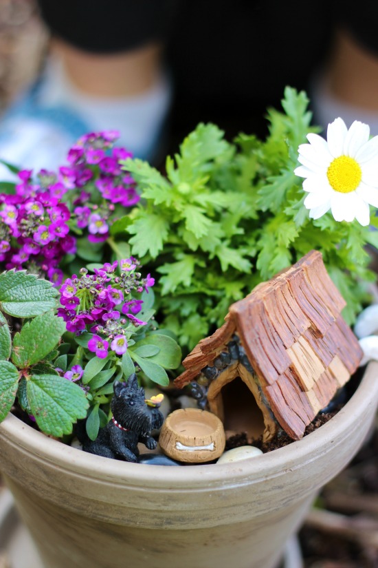 Mini flower gardens are a great spring planting project for kids! Customize them to represent their favorite animals or hobbies with these darling fairy garden accessories! 