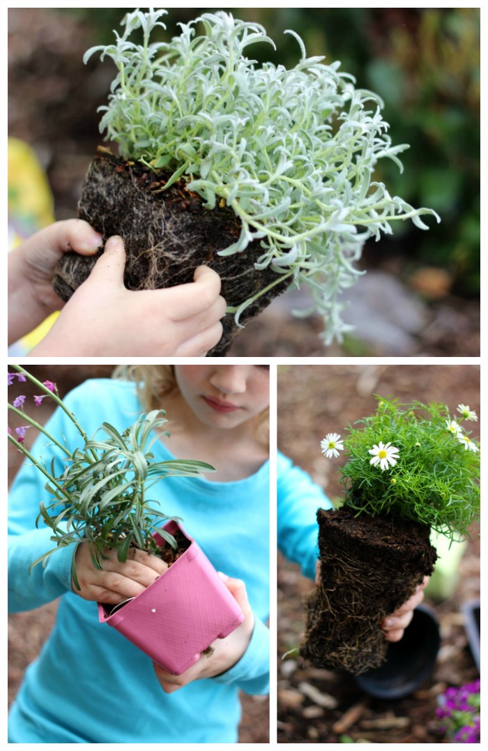 A darling fairy tale fairy garden, complete with a carriage! This little garden is what little girl dreams are made of. 