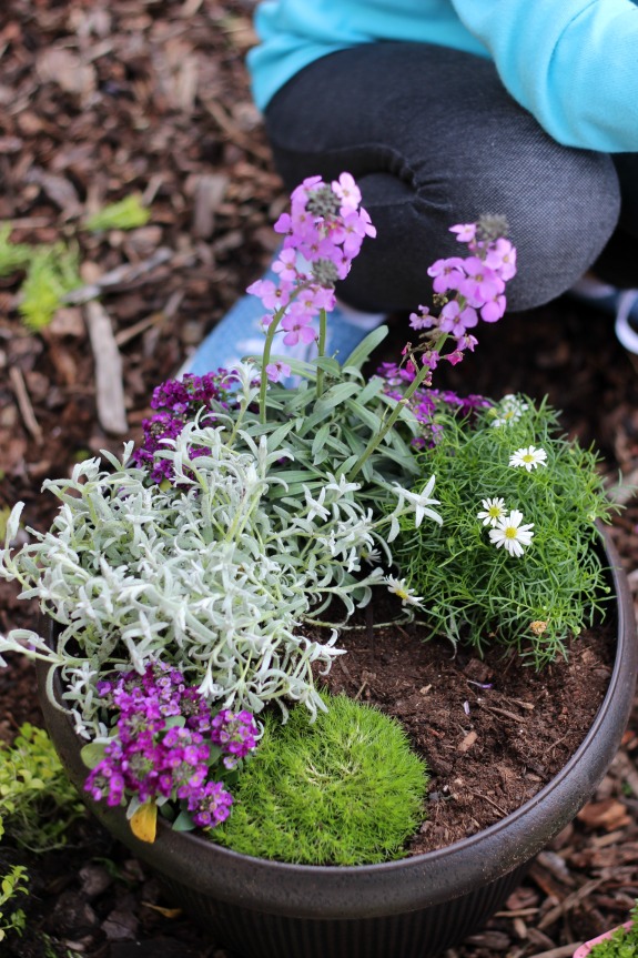 A darling fairy tale fairy garden, complete with a carriage! This little garden is what little girl dreams are made of. 