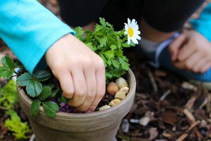 Whimsical Mini Flower Gardens