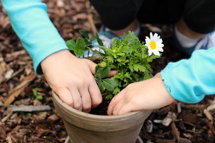 Mini flower gardens are a great spring planting project for kids! Customize them to represent their favorite animals or hobbies with these darling fairy garden accessories! 