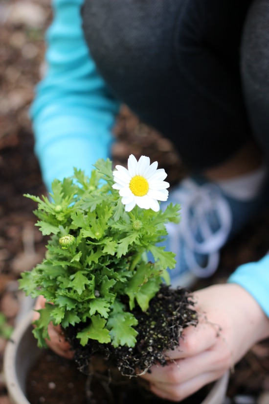 Mini flower gardens are a great spring planting project for kids! Customize them to represent their favorite animals or hobbies with these darling fairy garden accessories! 