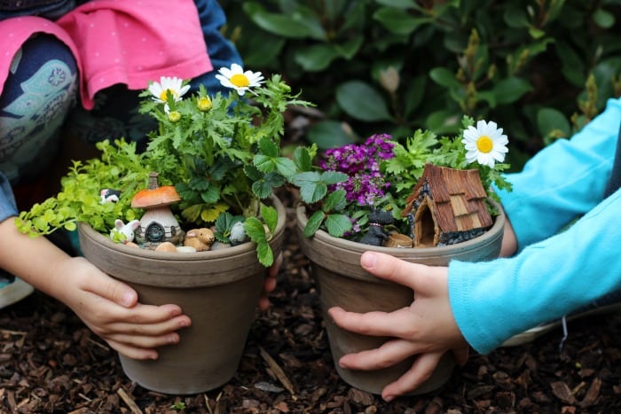 Whimsical Mini Flower Gardens