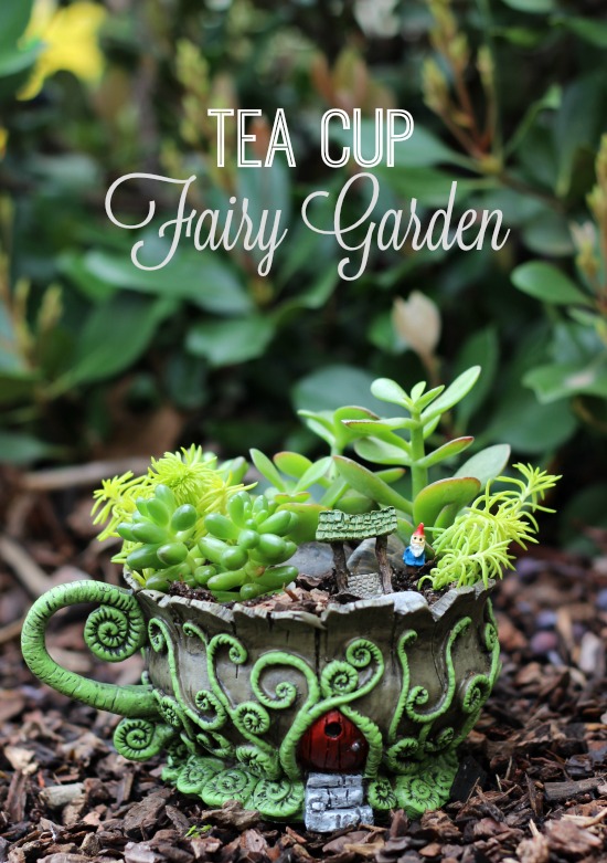 Tea Cup Fairy Garden