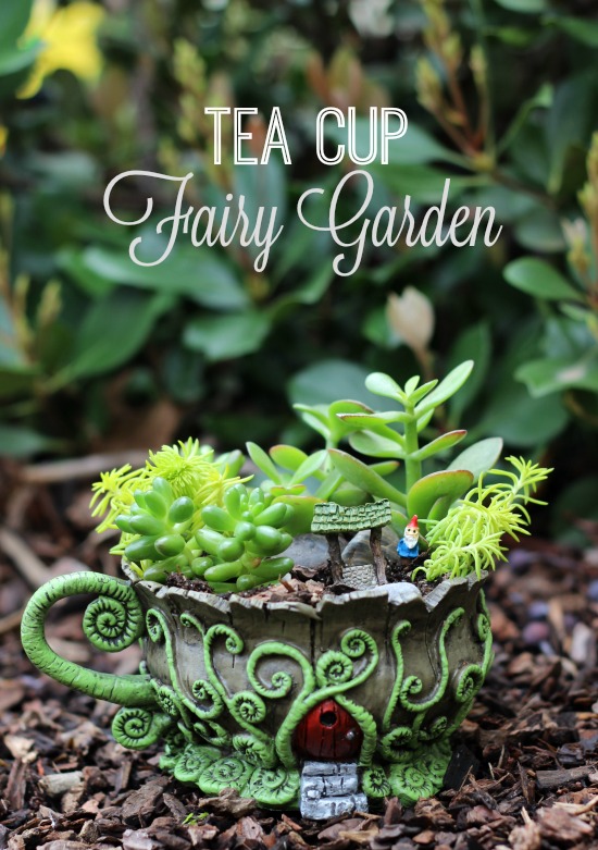 A whimsical fairy garden that will fit in the palm of your hand. This teacup fairy garden adds the perfect amount of magic to any windowsill or shelf!