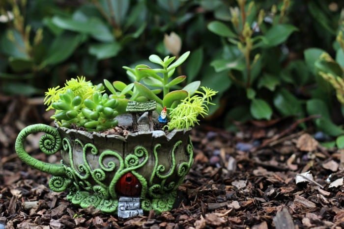 A whimsical fairy garden that will fit in the palm of your hand. This teacup fairy garden adds the perfect amount of magic to any windowsill or shelf!