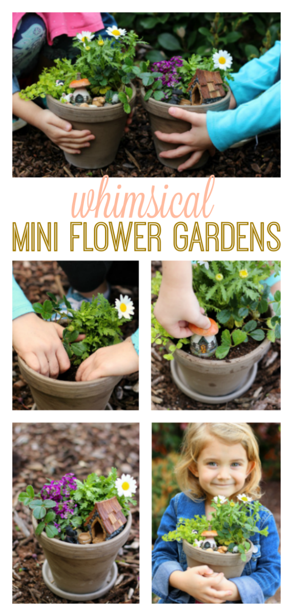 Whimsical Mini Flower Gardens