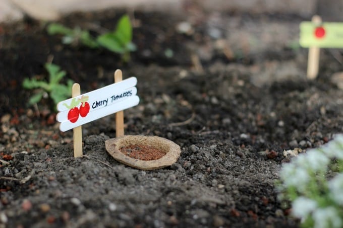 Make your own garden markers using popsicle sticks! A fun and easy gardening project for kids. What are you planting this year?