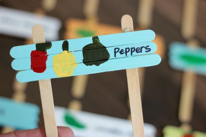 Make your own garden markers using popsicle sticks! A fun and easy gardening project for kids. What are you planting this year?