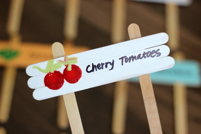 Make your own garden markers using popsicle sticks! A fun and easy gardening project for kids. What are you planting this year?