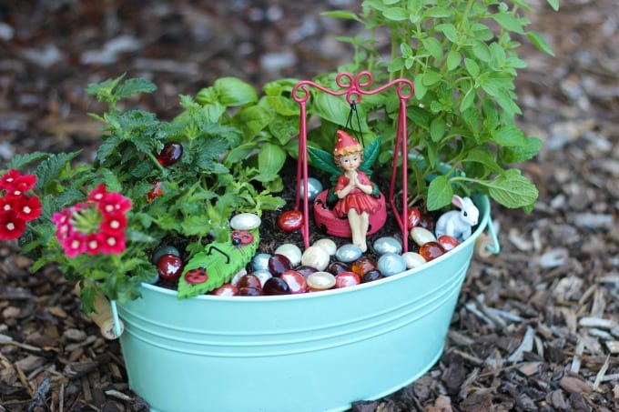 A kitchen herb fairy garden is as practical as it is pretty! Trim the leaves of the herbs off to use in recipes and watch the flowers bloom. Such a fun way to brighten up the kitchen.