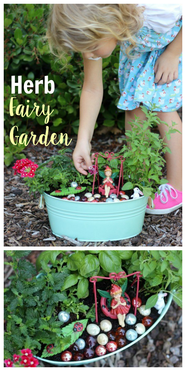 An herb fairy garden is as practical as it is pretty! Trim the leaves of the herbs off to use in recipes and watch the flowers bloom. Such a fun way to brighten up the kitchen or yard.
