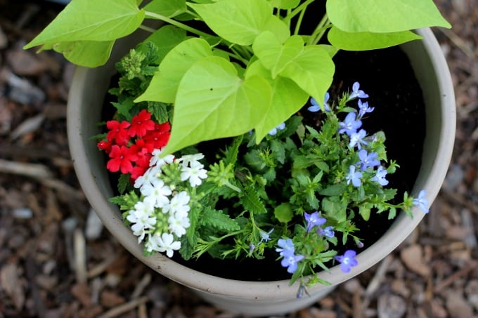 Patriotic Flower Planter