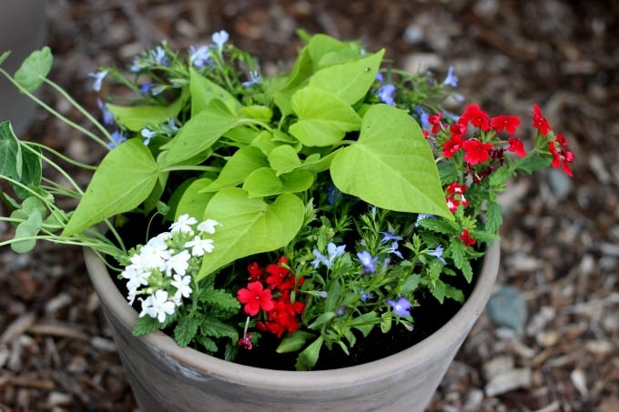 Patriotic Flower Planter