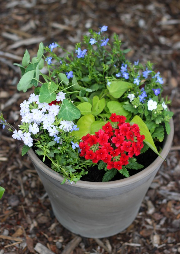 Patriotic Flower Planter