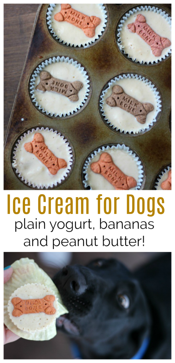 DIY Ice Lick Recipe For Dogs