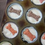 Muffin tin with dog ice cream and mini bones inside.