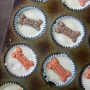 Muffin tin with dog ice cream and mini bones inside.