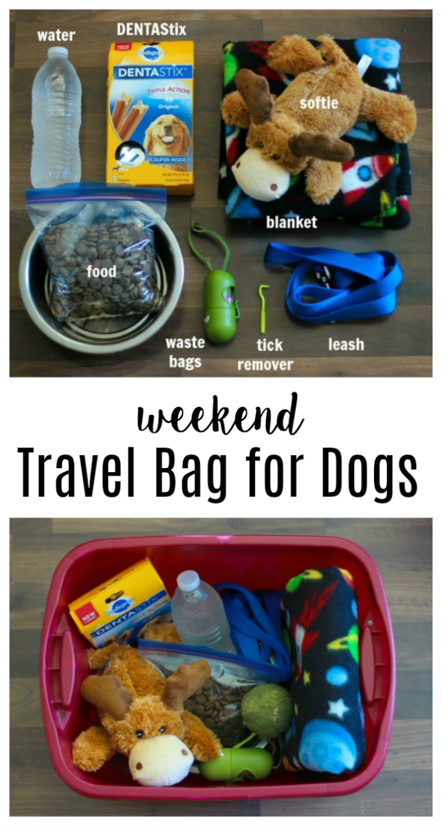 travel bag for dogs items