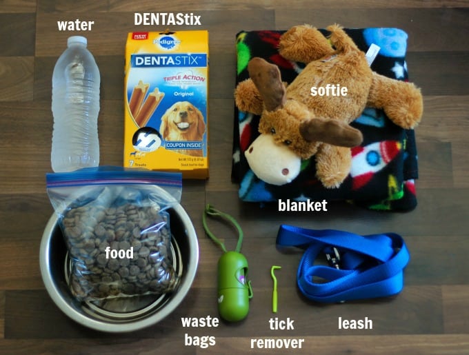 travel bag for dogs water, food, waste bags, tick remover, etc.