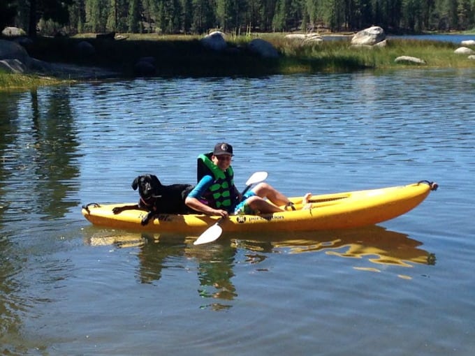 dog in canoe with family