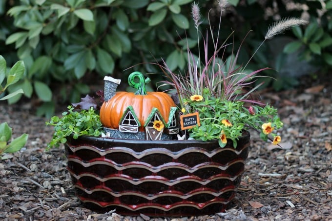Create a beautiful fall fairy garden with the seasonal foliage of fall and a fairy garden pumpkin house!