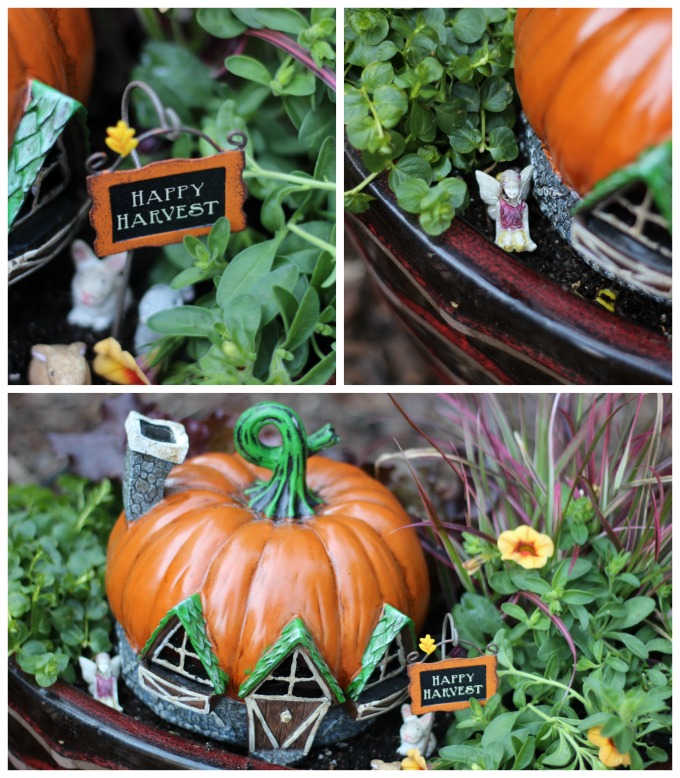 Create a beautiful fall fairy garden with the seasonal foliage of fall and a fairy garden pumpkin house!