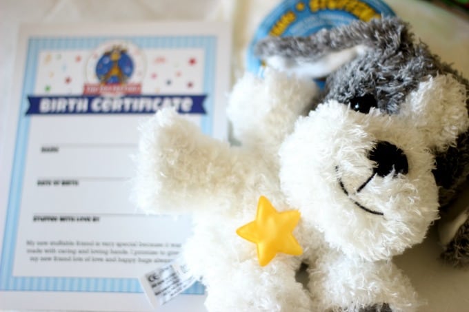 A DIY stuffed animal birthday party? A dream come true for any little child! Everything you need from the plush animals, stuffing, birth certificates, take home boxes, and t-shirts to decorate to have the perfect party!