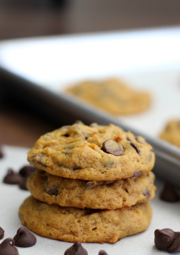 Delicious chocolate chip pumpkin cookies that are moist, chewy, cake-like, and full of pumpkin flavor!