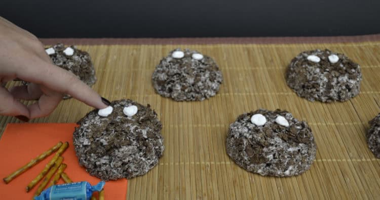 cocoapebblesspiders_04