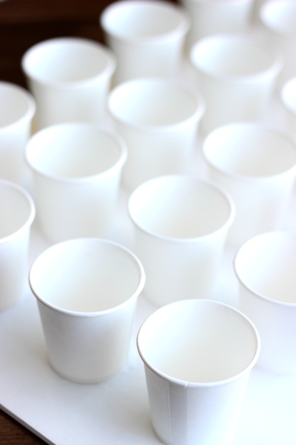 cups for advent calendar lined up on foam board