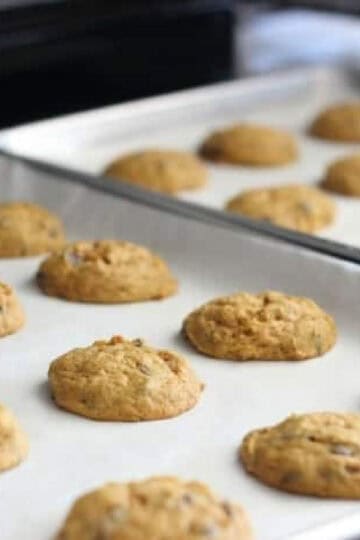 Two baking sheets of pumpkin chocolate chip cookies.