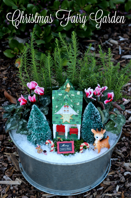 A beautiful Christmas fairy garden to brighten your porch or home this holiday season! Get the kids involved for a magical project that will last all season!