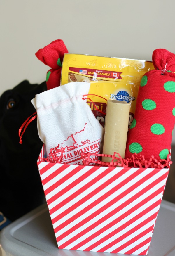 DIY Dog Crinkle Toy and Gift Basket