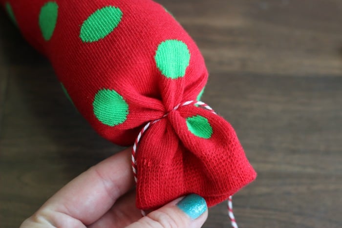 DIY Dog Crinkle Toy