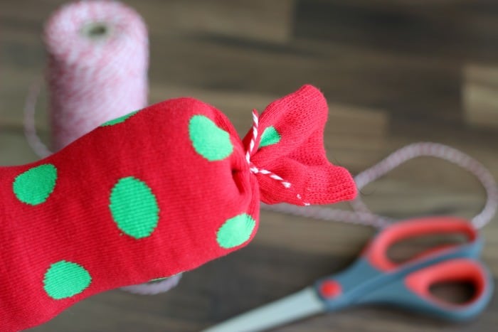 DIY Dog Crinkle Toy