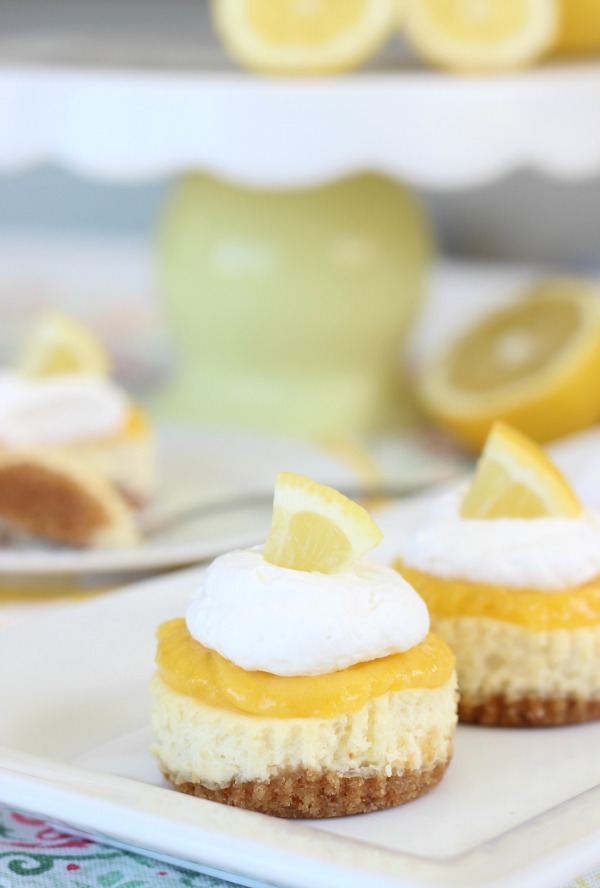 mini cheesecakes with lemon curd, whipped cream and lemon wedge