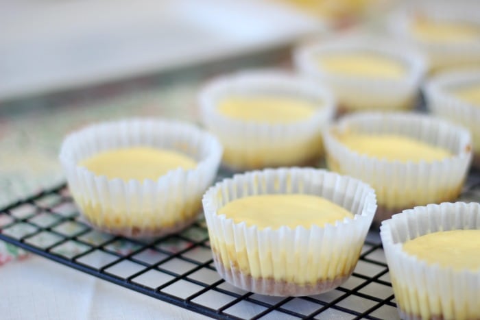 baked mini cheesecakes on cooling rack