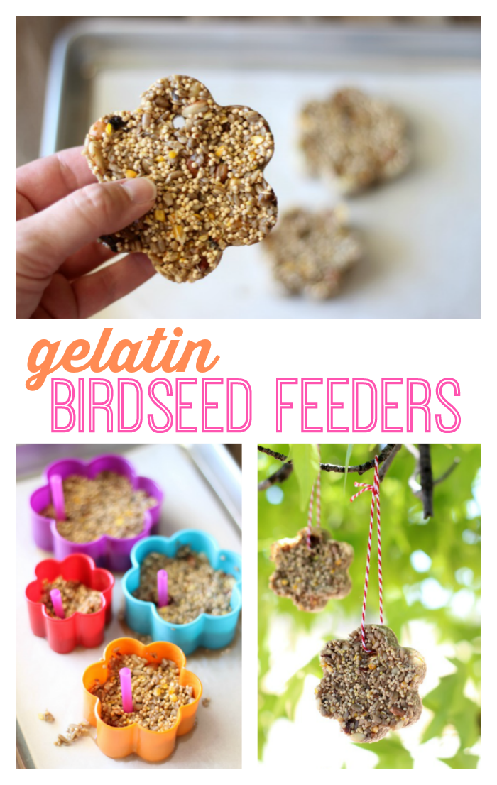 homemade gelatin birdseed feeders in tree