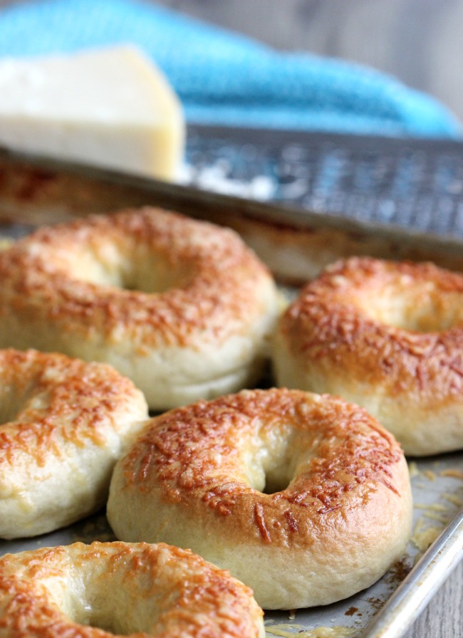 The BEST and EASIEST homemade parmesan bagels. Make delicious bagels at home that rival any from your favorite bagel shop!