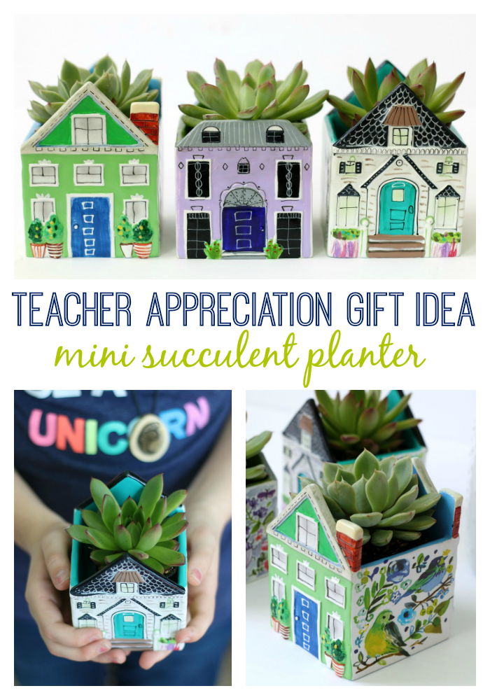 Mini 2 Succulent Desk Buddy, Desk Plant Decor, Teacher Appreciation Gift