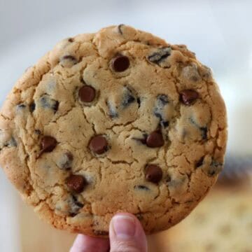 hand holding baked jumbo chocolate chip cookie