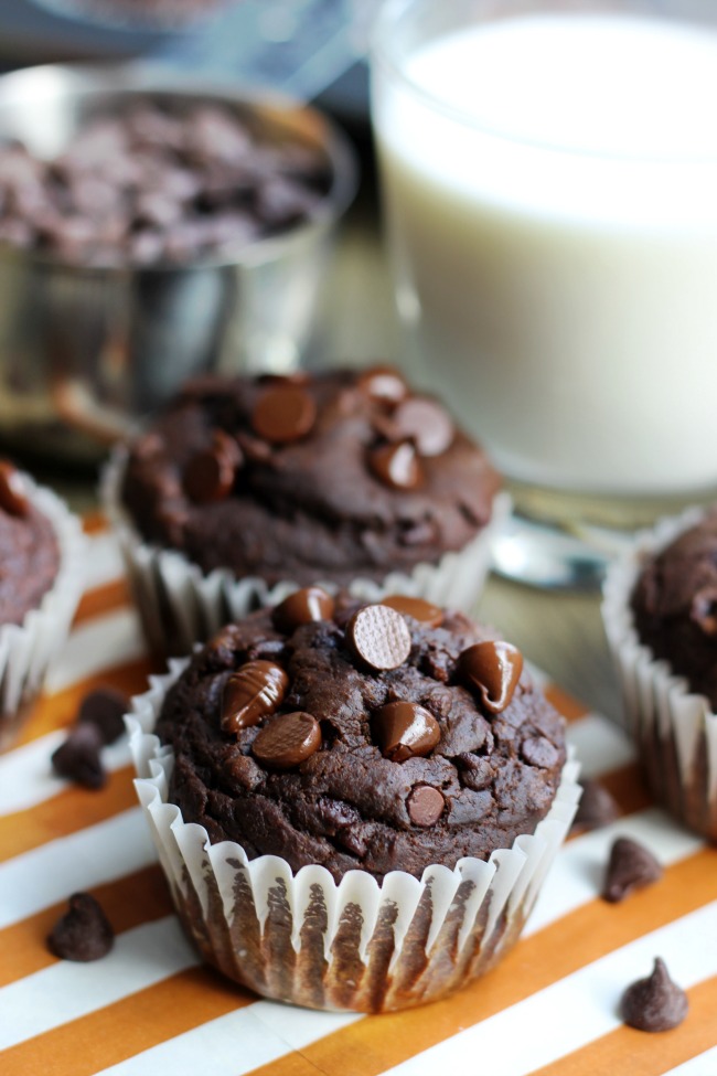 chocolate fudgy pumpkin muffins in white liners