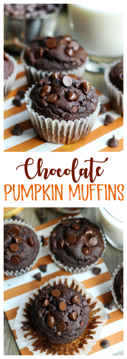 chocolate pumpkin muffins in muffin liners