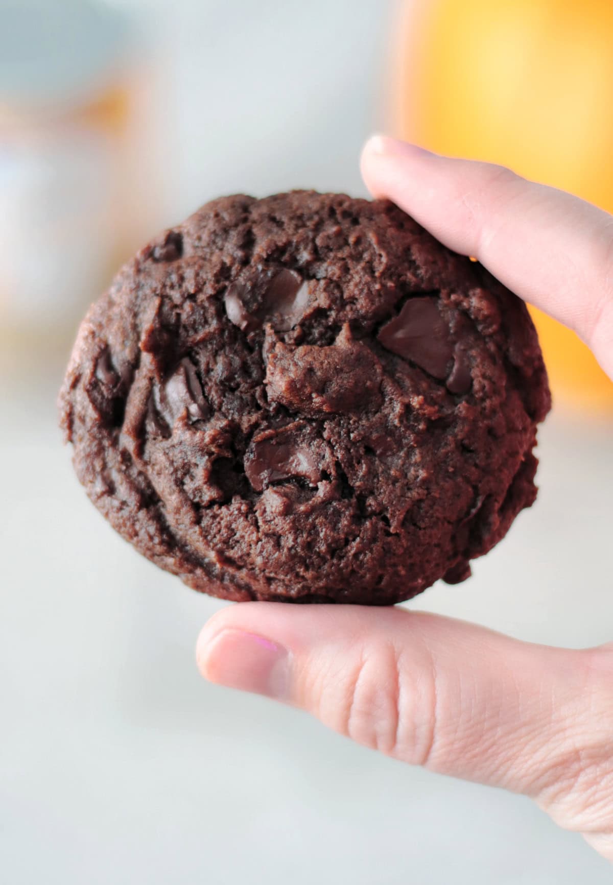 Hand holding double chocolate pumpkin cookie.