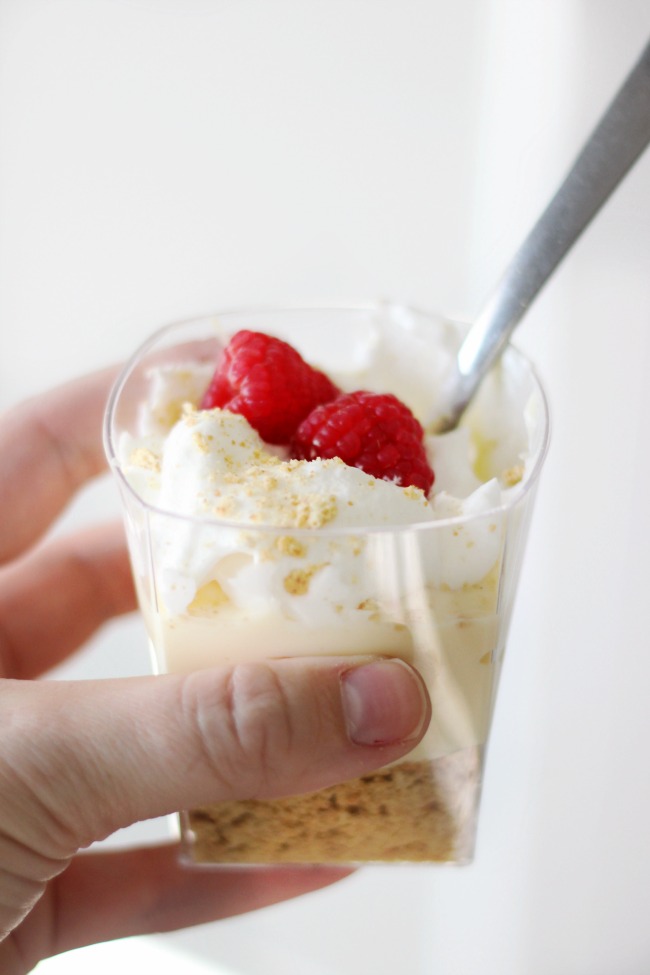 A mini cream pie in a cup that come together in just minutes! A layer of graham crackers, a layer of Greek yogurt and whipped cream! Perfect for parties.